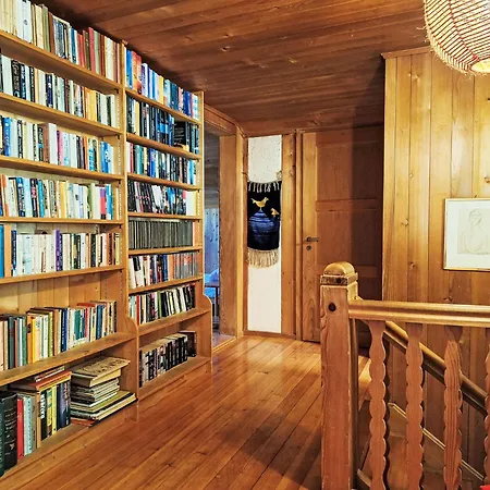 Pitschun By Interhome * 格林德瓦