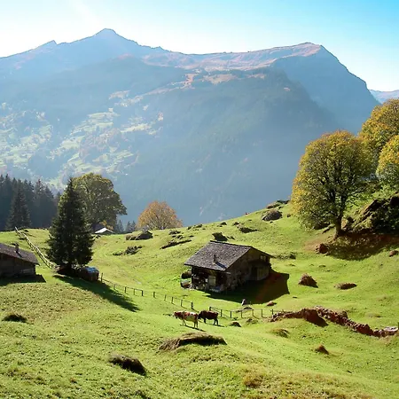 Pitschun By Interhome 木屋 格林德瓦